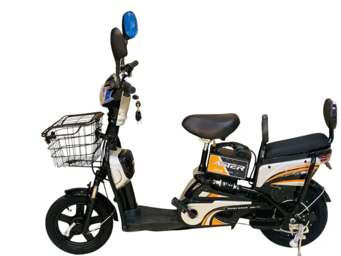 Electric Bikes in Dubai