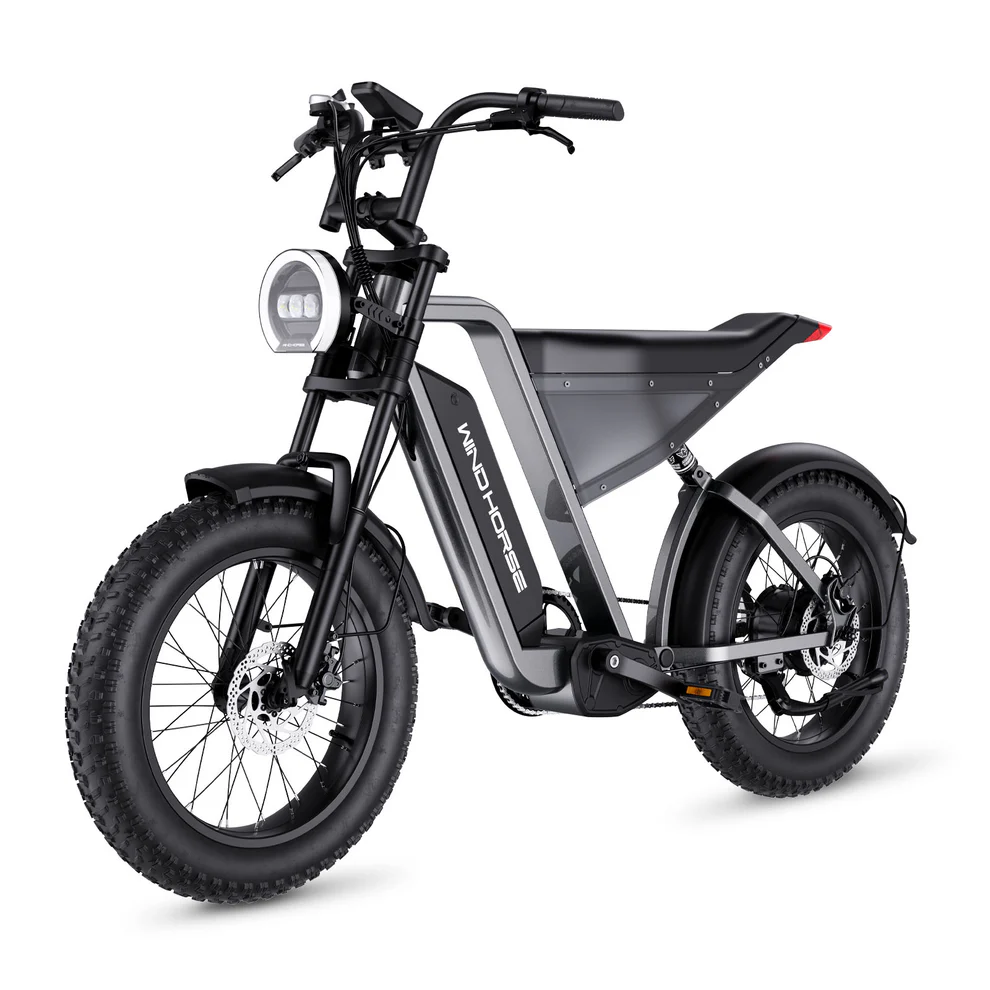 D3 Fat Tire Electric Bike | 7-Speed Off-Road E-Bicycle | Durable All-Terrain Ride - Image 2