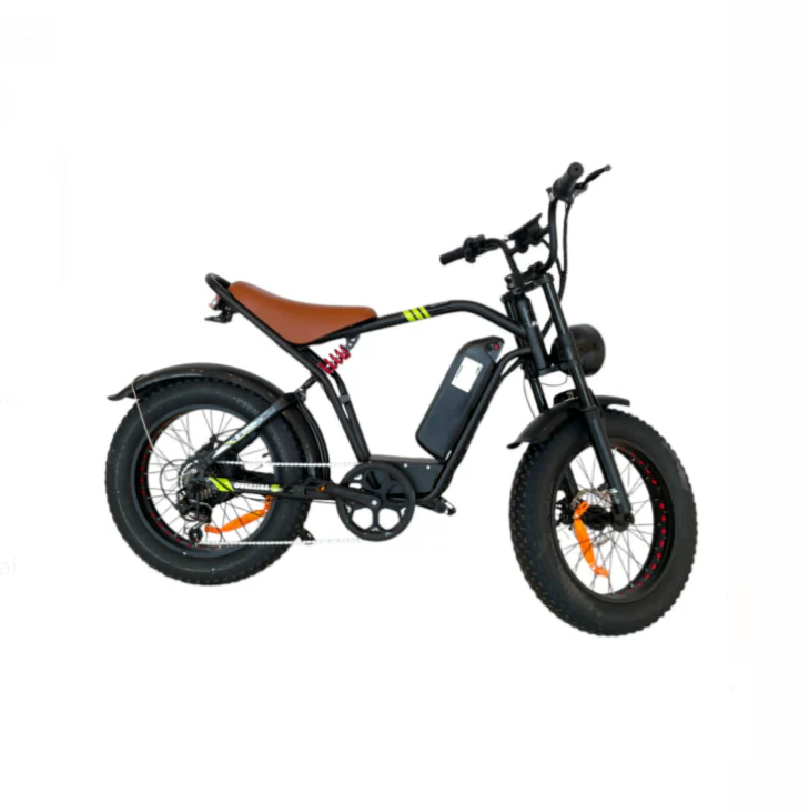 S1 Fat Tires E-Bike with 5 Speed Shimano Gears - Image 6