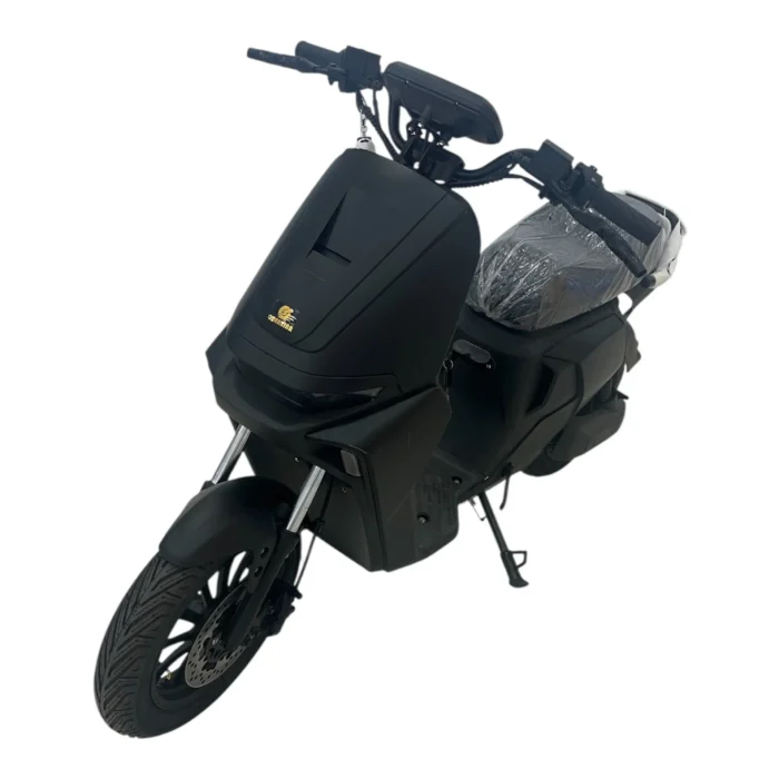 Electric Smart Scooter QJN