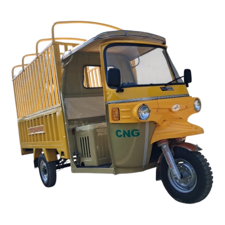 200cc Petrol Full Body Heavy Duty Cargo TukTuk Rickshaw – Commercial 3-Wheel (Full Steel Cage Body) - Image 5